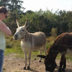 Meet your Posher, Gail